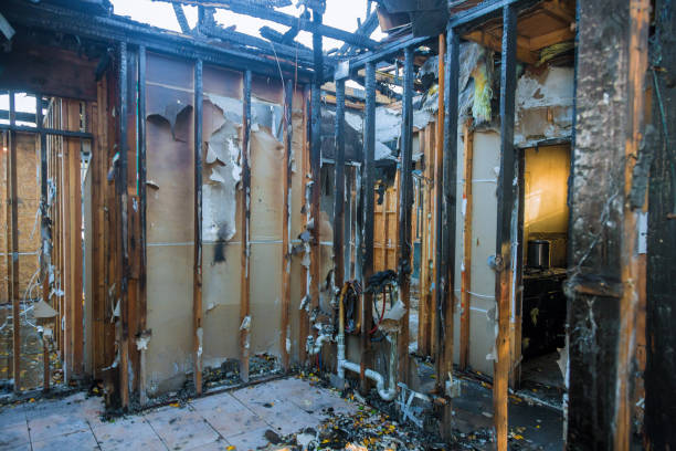 Professional Fire Damage Repair technician working in Willowbrook, IL